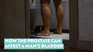 How the prostate can affect mens bathroom habits [upl. by Carlina]