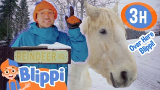 Blippi Goes To Reindeer Farm  Blippi and Meekah Best Friend Adventures  Holiday Videos for Kids [upl. by Strephon]