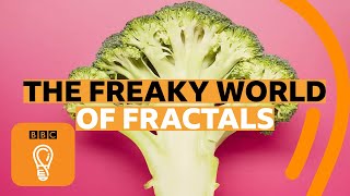 How fractals can help you understand the universe  BBC Ideas [upl. by Ahsilra]