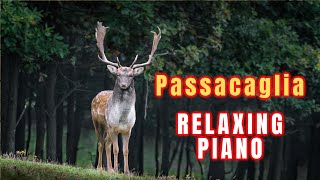 Passacaglia 1 hour version HandelHalvorsen beautiful piano music  relaxing music  sleep music [upl. by Igenia256]