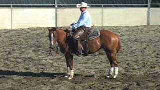 Cutting Horse Training Problems 3yrold part 4  mechanical cow [upl. by Drice]