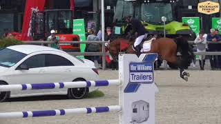 Pikeur Lord Fauntleroy  145m GP CSI Opglabeek [upl. by Adleme]