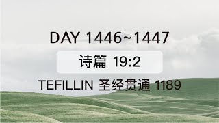 Tefillin Day 14461447 诗篇 192 宣布圣经 50次 [upl. by Atsirk]