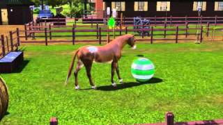 Jeux de ballons le Cheval [upl. by Branscum924]