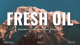 Prophetic Worship Music Instrumental  Fresh Oil  Spiritual Warfare [upl. by Nnaylloh736]