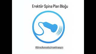 Erektör Spina Plan Bloğu erector spinae plane block [upl. by Bartolome]