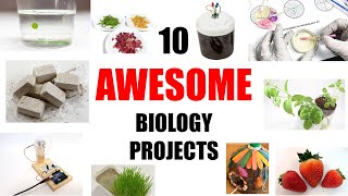 10 Awesome Biology Science Projects [upl. by Maud]