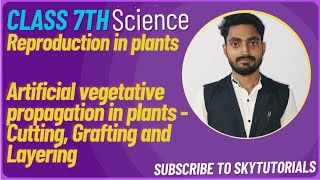 Reproduction in Plants Artificial Vegetative Propagation in plants Cutting grafting layering [upl. by Oriana559]