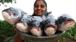 10KG Big Katla Fish Fillet amp Katla Fish Fry Recipe Cooking Traditional Way In Farm land  BBQ Fishes [upl. by Noach]