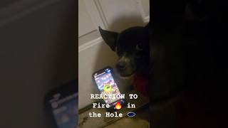 Fire in The Hole Reaction 🕳 🔥 👌 🐕Twiddle Dogfnf fnflore twiddlefinger gaming shorst [upl. by Atnod]