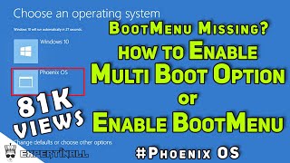 Multi Boot Option Enable  Dual Boot  Bootmenu  Phoenix OS  ExPertInAll [upl. by Dnalhsa902]