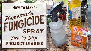 ★ How to Make Cheap Homemade Fungicide Complete Step by Step Guide [upl. by Anerehs]