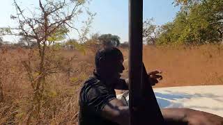 Game Park Drive Tour at Chiminuka Lodge Zambia [upl. by Breger]