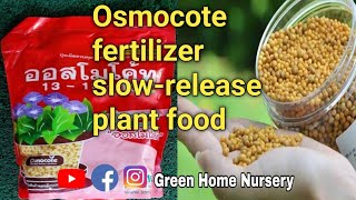 Osmocote 131313 Slow Release Fertilizer Green Home Nursary COOCHBEHAR [upl. by Elly719]