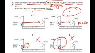 5090 MCQ SPECIMEN SYLLABUS 2023 PAPER 1 VIDEO 1 [upl. by Esta]