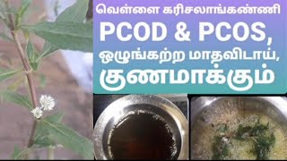 எனக்கு நீர்க்கட்டிPCOS குணமாக முக்கிய காரணம் கரிசலாங்கண்ணி bhringraj [upl. by Loma]