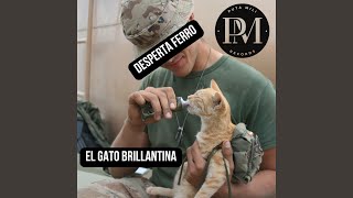 El Gato Brillantina [upl. by Lilaj674]