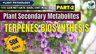 PLANTS SECONDARY METABOLITES PART2 TERPENES BIOSYNTHESIS CSIR NET [upl. by Nitsuga]