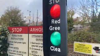 Glanyrafon MWL Foot Level Crossing Carmarthenshire 291024 [upl. by Zhang]