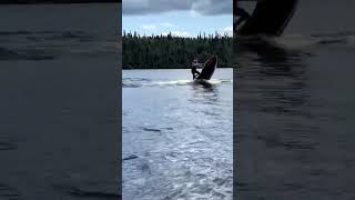 Spark trix fun seadoo spark sparktrixx [upl. by Ahsitruc]