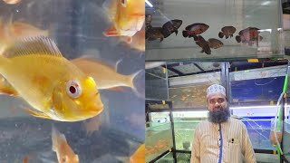 Kurla Fish Market Only Wholesale Fish Selling  Molana Jamil 8169159696 [upl. by Lotz]