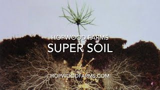 Super Soil is the Best Way to Grow [upl. by Ellocin464]