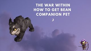 WHERE TO FIND BEAN THE COMPANION PET IN WOW [upl. by Pansie]