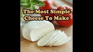 homemade mozzarella cheese In 30 Minutes [upl. by Aneda]