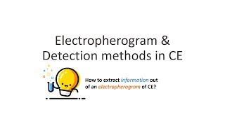 Capillary Electrophoresis Part 4 Electropherogram amp Migration Time [upl. by Alan]