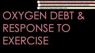 Oxygen Debt amp Response to Exercise  GCSE Biology [upl. by Enilorak]