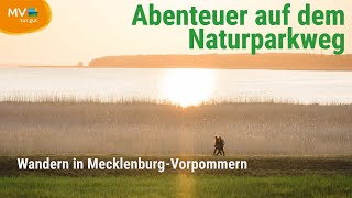 Abenteuer auf dem Naturparkweg 220 Kilometer Wandern in MecklenburgVorpommern [upl. by Nehtan]