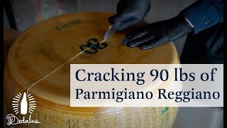 How to Crack a 90lb Wheel of Parm [upl. by Fabiola]