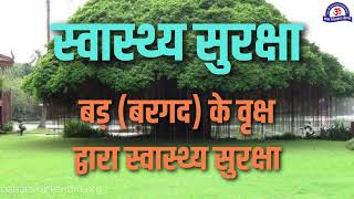 बरगद के वृक्ष द्वारा स्वास्थ्य सुरक्षा  Amazing Benefits of Banyan Tree  बरगद के फायदे क्या है [upl. by Gena]