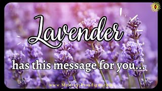 Lavender has this message for you [upl. by Cecilio]