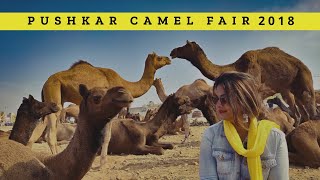 Pushkar Mela 2018  Part 1  Largest Camel Gathering In the World  Rajasthan  DesiGirl Traveller [upl. by Naitirb313]