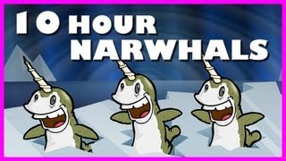 Narwhals  10 Hours [upl. by Waldos]