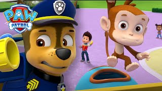 Los cachorros intentan atrapar a un mono muy tonto  PAW Patrol Episodio Español [upl. by Gaudette]