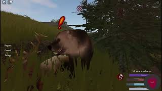 Bear vs elk fight  Cenozoic Survival ROBLOX [upl. by Anaeda958]