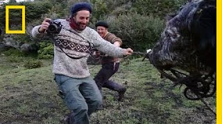 Capturing the Rugged Lives of Patagonias Gauchos [upl. by Nitsyrc]