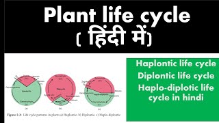 PLANT LIFE CYCLE TYPES IN HINDI HAPLONTICDIPLONTIChaplodiplontic in hindi [upl. by Neenaj371]