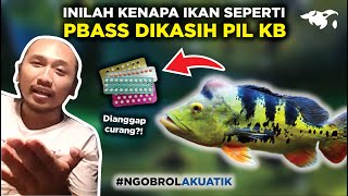 IKAN DIKASIH PIL KB RAHASIA IKAN JADI BAGUS ft Aquathings amp Monfic Ngotik Eps 5 [upl. by Odraner]