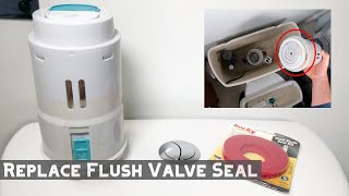 How to Replace Dual Flush Toilet Valve Seal [upl. by Buatti]