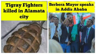 Tigray fighters killed in Alamata city  Berbera mayor speaks in Addis Ababa [upl. by Low733]