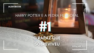 Harry Potter e a Pedra Filosofal  Capítulo 1 AUDIOBOOK ptpt [upl. by Nedla]