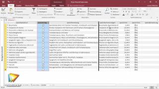 Access 2016 – Grundlagen Tutorial JaNeinFelder filtern video2braincom [upl. by Dranoc]