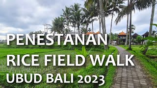 UBUD BALI PENESTANAN RICE FIELD WALK Unveiling the Secrets of Ubud [upl. by Erina]