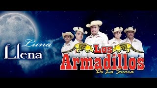 Los Armadillos de la Sierra fiesta patronal [upl. by Bromleigh]