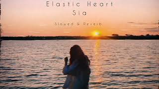 Elastic Heart Diploma Sia amp Weeknd Slowed amp Reverb [upl. by Gwen]