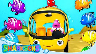 Wheels on the Bus Song  The Sharksons  Songs for Kids  Nursery Rhymes amp Kids Songs [upl. by Tremml]