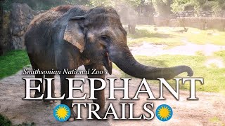 Zoo Tours The Elephant Trails  Smithsonians National Zoo 2010 [upl. by Cooper]